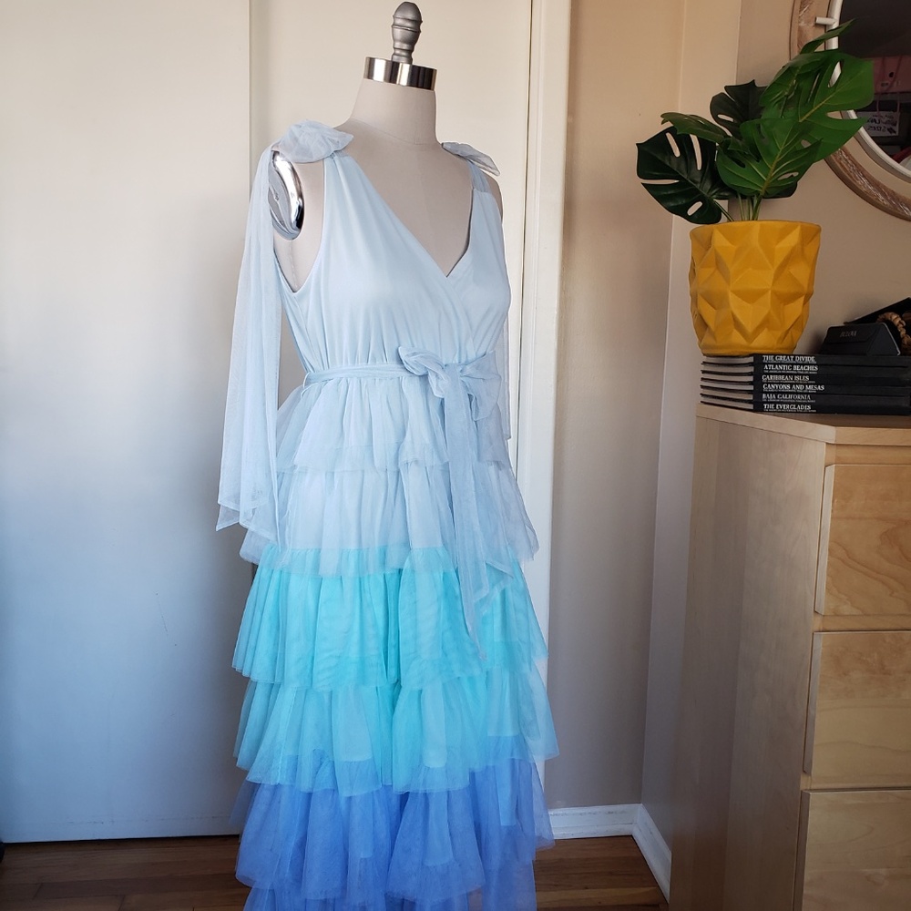 Charming Ombre Tulle Dress Size Small!